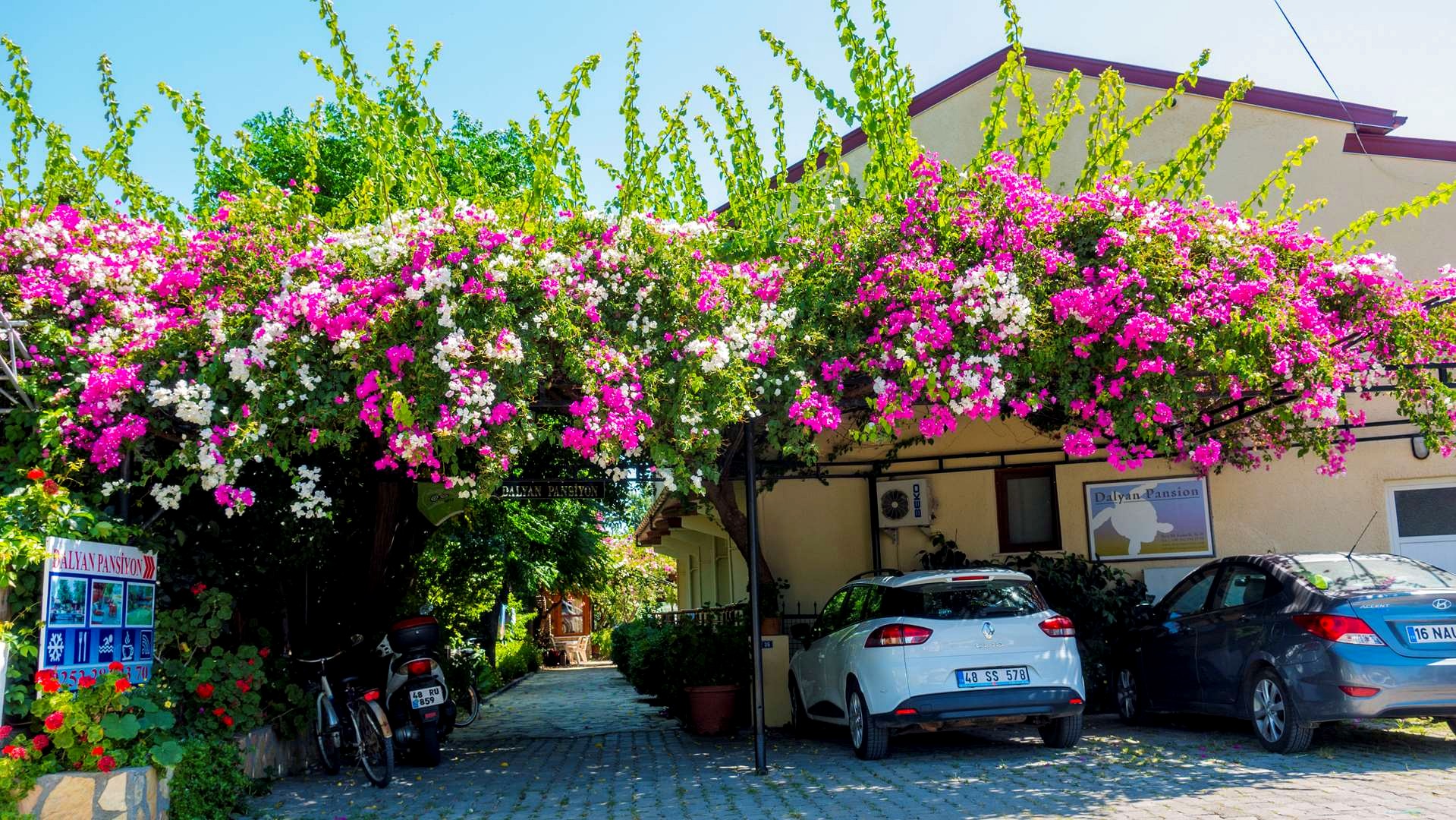 Dalyan Pension dış mekan