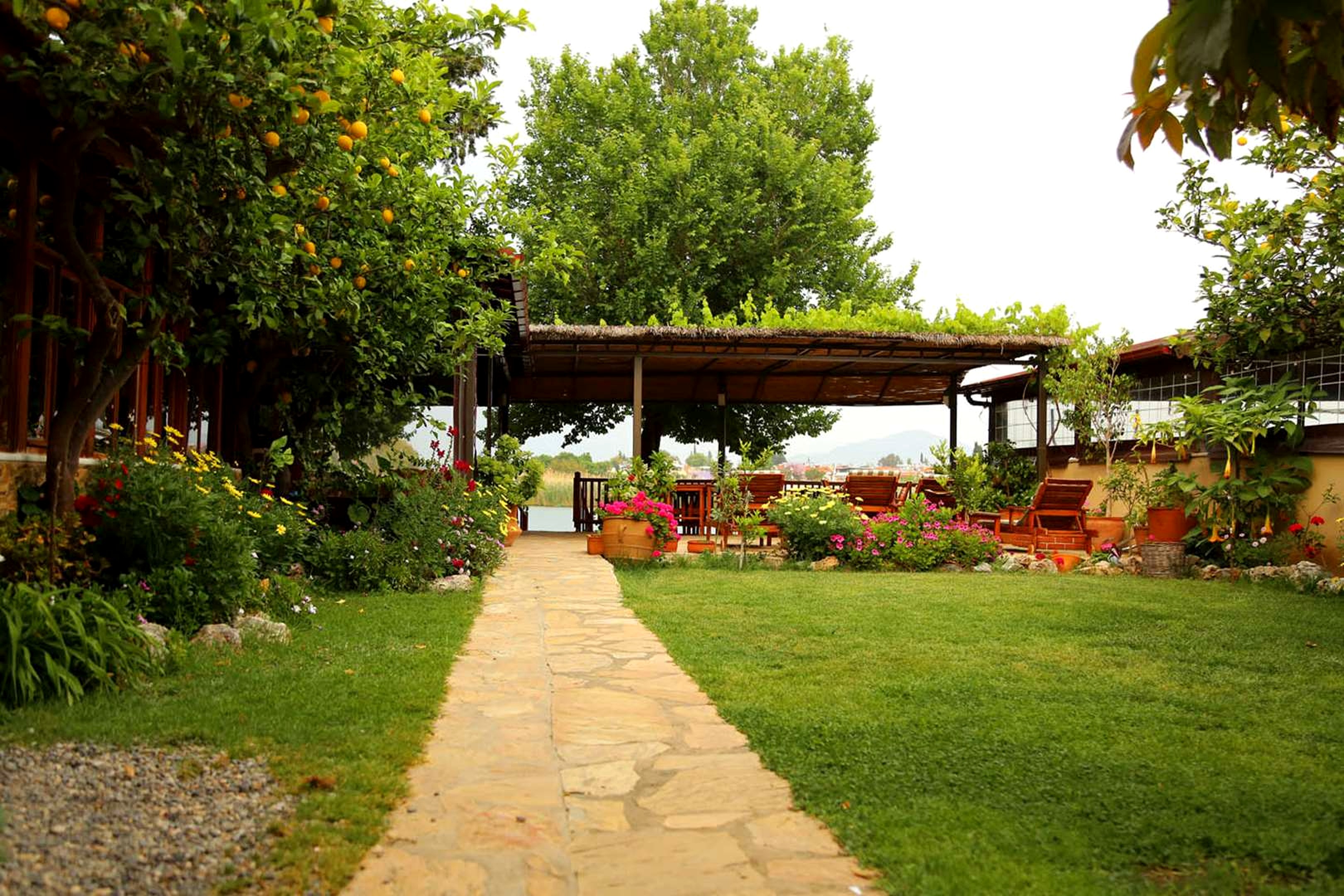 Dalyan Pension galeri fotoğrafı